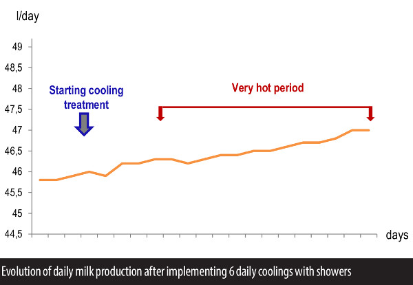 Evolution of daily milk production