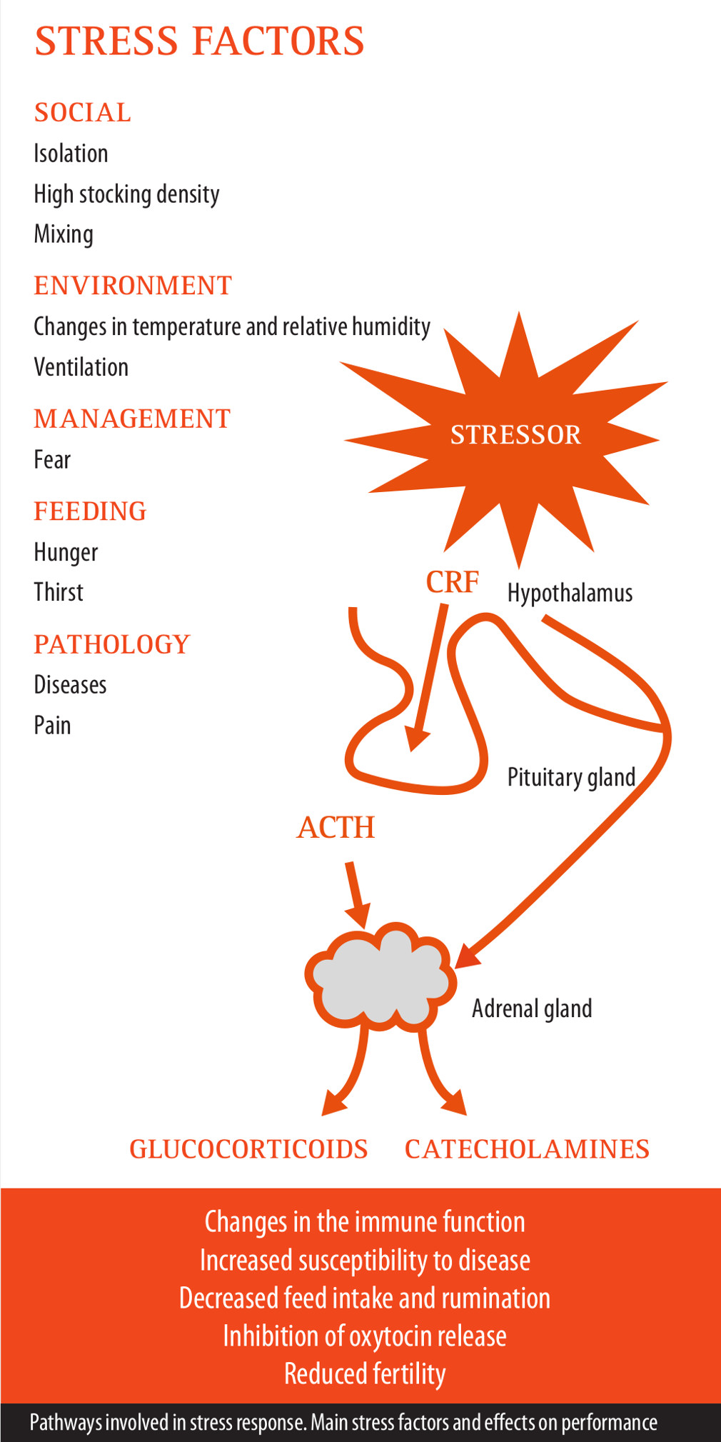 Stress factors